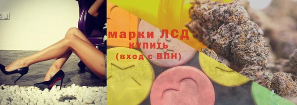 ешки Вязьма