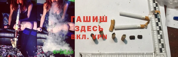 ешки Вязьма
