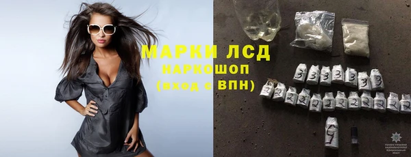 apvp Новозыбков