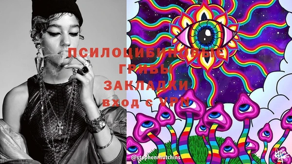 ешки Вязники