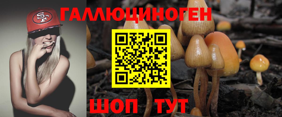 Псилоцибиновые грибы Cubensis  Вход с VPN  Галлюциногенные грибы Cubensis  купить   Белово 