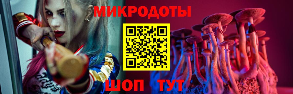 Псилоцибиновые грибы GOLDEN TEACHER Белово